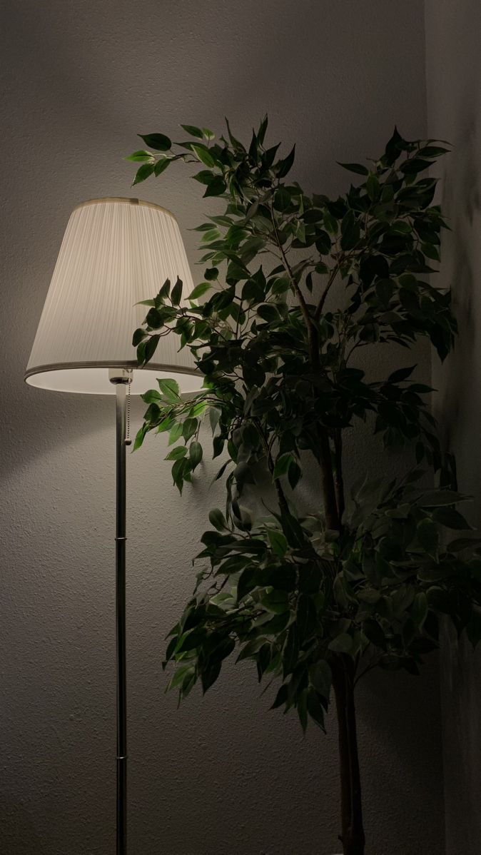Decoration